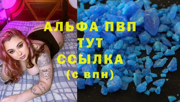 ECSTASY Богданович