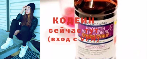 ECSTASY Богданович