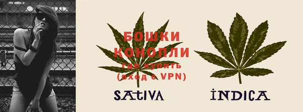 ECSTASY Богданович