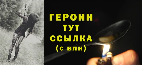гидра Богородицк