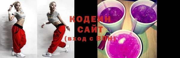 гидра Богородицк