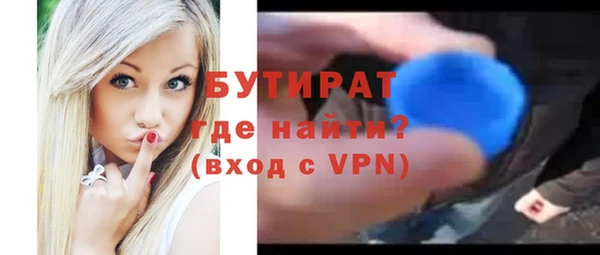 гидра Богородицк