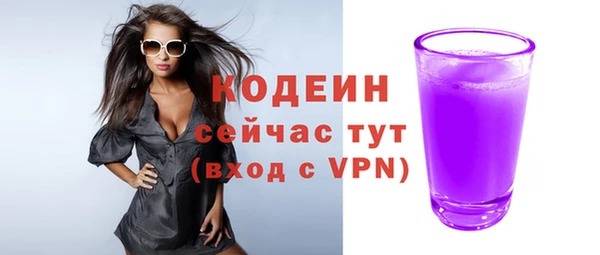 ECSTASY Богданович