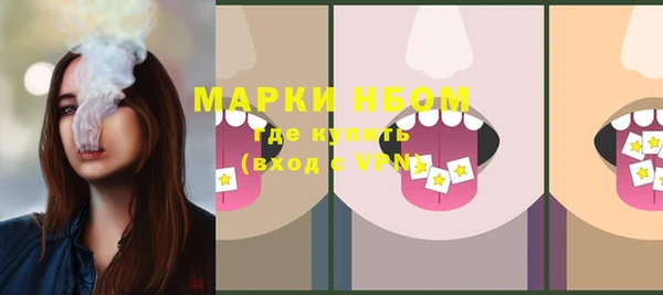 Альфа ПВП Богородск