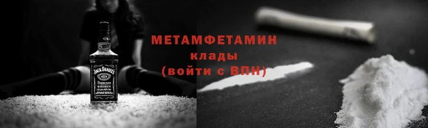 гидра Богородицк