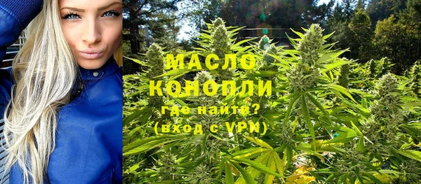 гидра Богородицк