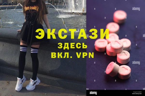 ECSTASY Богданович
