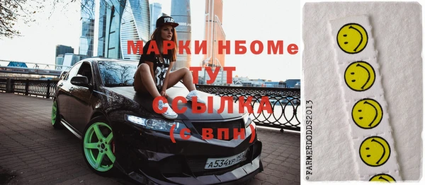 гидра Богородицк