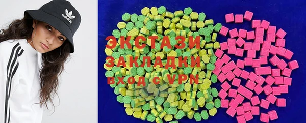 гидра Богородицк