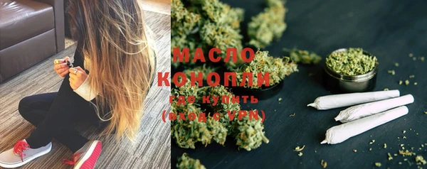 ECSTASY Богданович