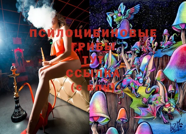 гидра Богородицк