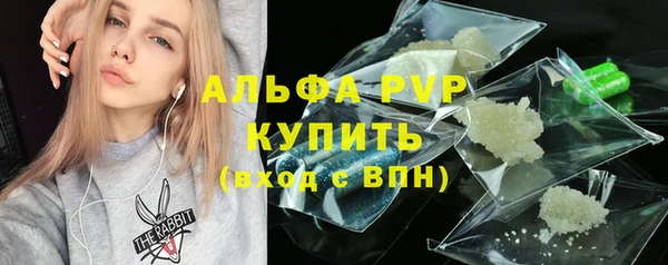 гидра Богородицк