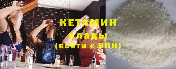гидра Богородицк