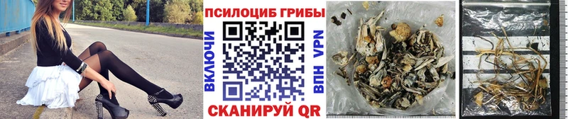 mega сайт  Новоузенск  Галлюциногенные грибы GOLDEN TEACHER 